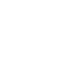 taigo88