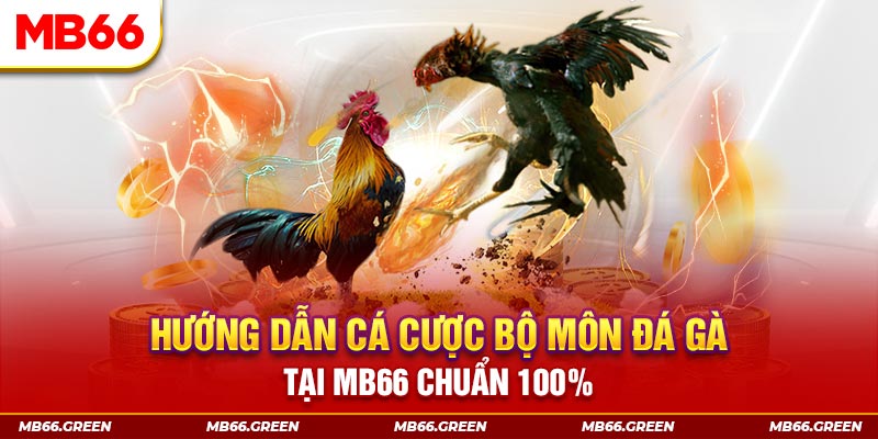 taigo88 slot là gi