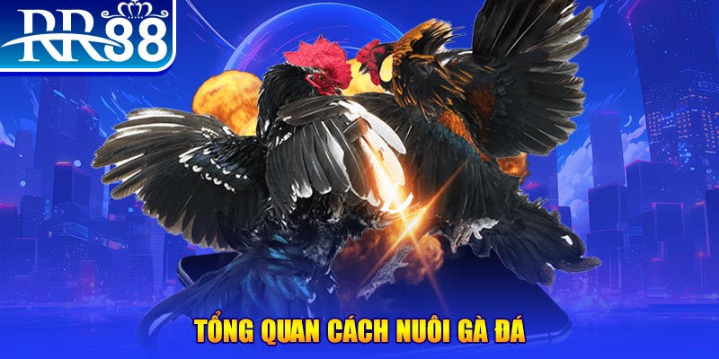 taigo88 game nổ hũ rút tiền mặt là gì