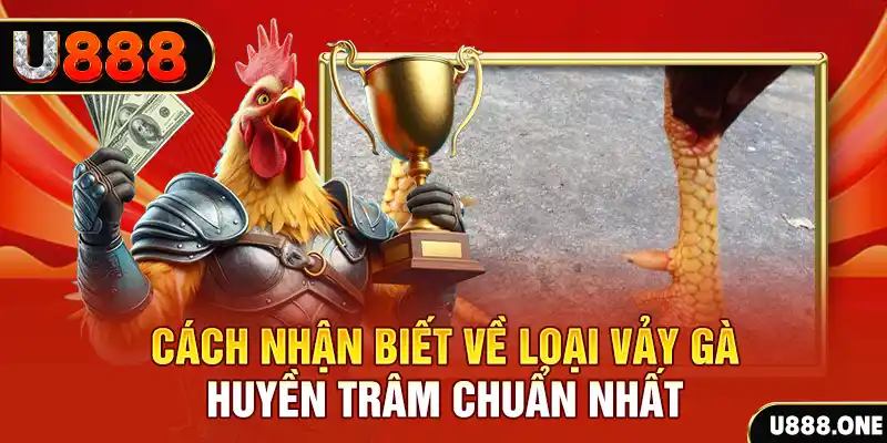 taigo88 đăng nhập nổ hũ số 1