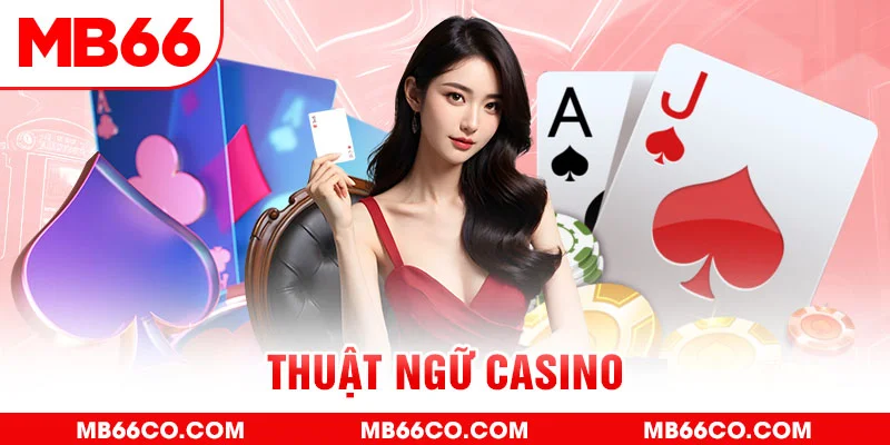 taigo88 gà chọi c1 mới nhất