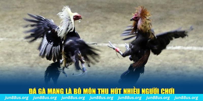 taigo88 nổ hủ nghĩa là gì