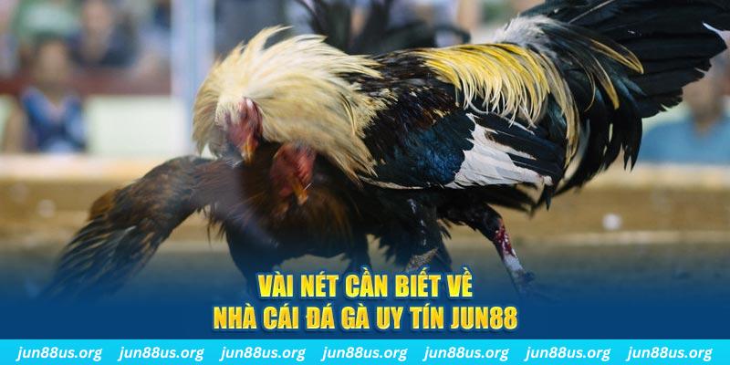 taigo88 đăng nhập phỏm khuyến mãi