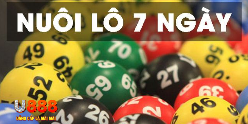 taigo88 đăng nhập mậu binh tặng tiền