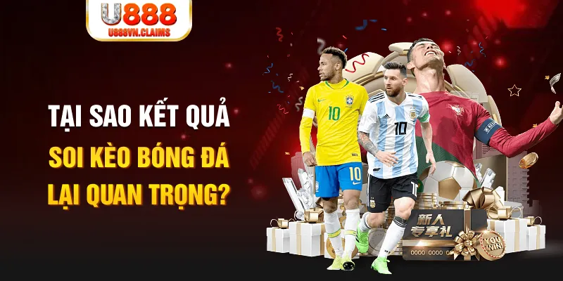 taigo88 Tôm Cua Cá 2
