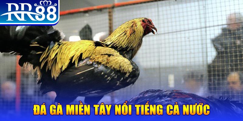 taigo88 xổ số đại phát