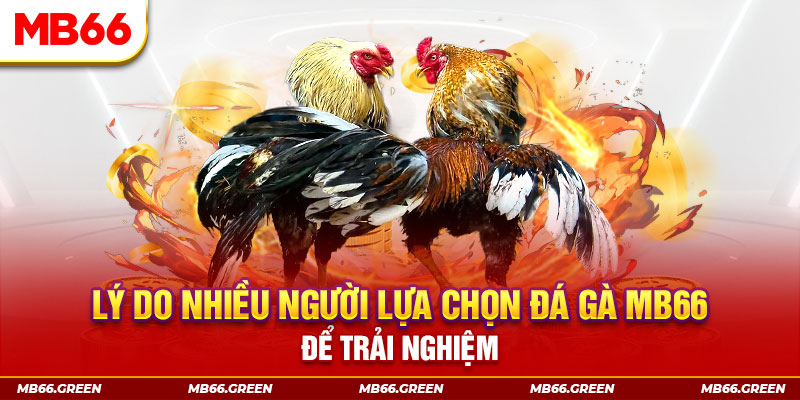 taigo88 đăng nhập liêng trực tiếp