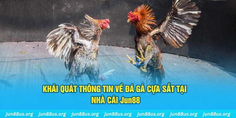 taigo88 xổ số miền bắc thứ bảy hàng tuần