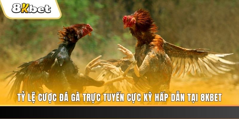 taigo88 đăng nhập mậu binh online