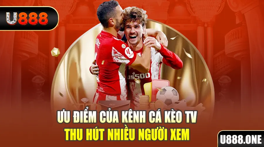 taigo88 gà chọi cu cần