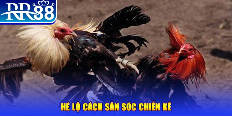 taigo88 xổ số miền trung thứ tư