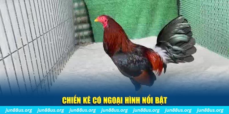 taigo88 game bắn cá