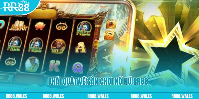 taigo88 8 bí ẩn chơi nổ hũ ít ai biết