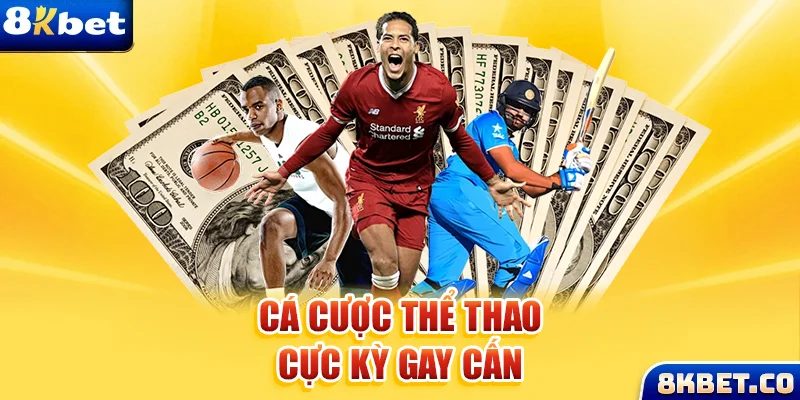 taigo88 xem đá gà trực tiếp